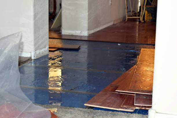 Professional Basement Water Removal technician working in Rialto, CA